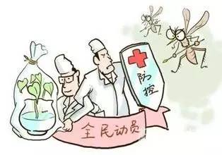 防止蚊蟲傳播疾病 福州加大消殺力度 預防登革熱 這些事我們要做好