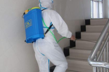 秦皇島專業滅鼠除四害服務 守護健康家園的全面解決方案